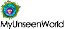 MyUnseenWorld Store